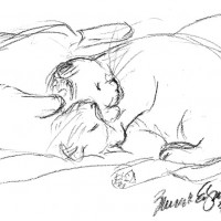 charcoal sketch of two cats sleeping