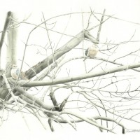 "Biding Time", pencil with watercolor wash, 21 x 14 © Bernadette E. Kazmarksi