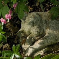 bleeding hearts and stone cat sculpture