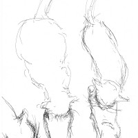 ink sketch of three cats