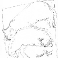 ink sketch of two cats sleeping