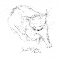 charcoal sketch of cat sleeping