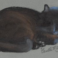 pastel sketch of black cat