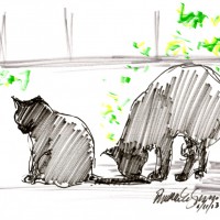 marker sketch of two cats