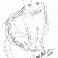 charcoal sketch of cat