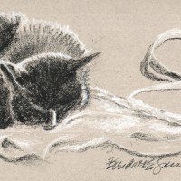 charcoal sketch of cat