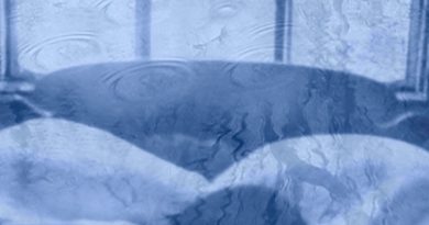 Poem for Today: Pawprints and Raindrops Poem for Today: Pawprints and Raindrops