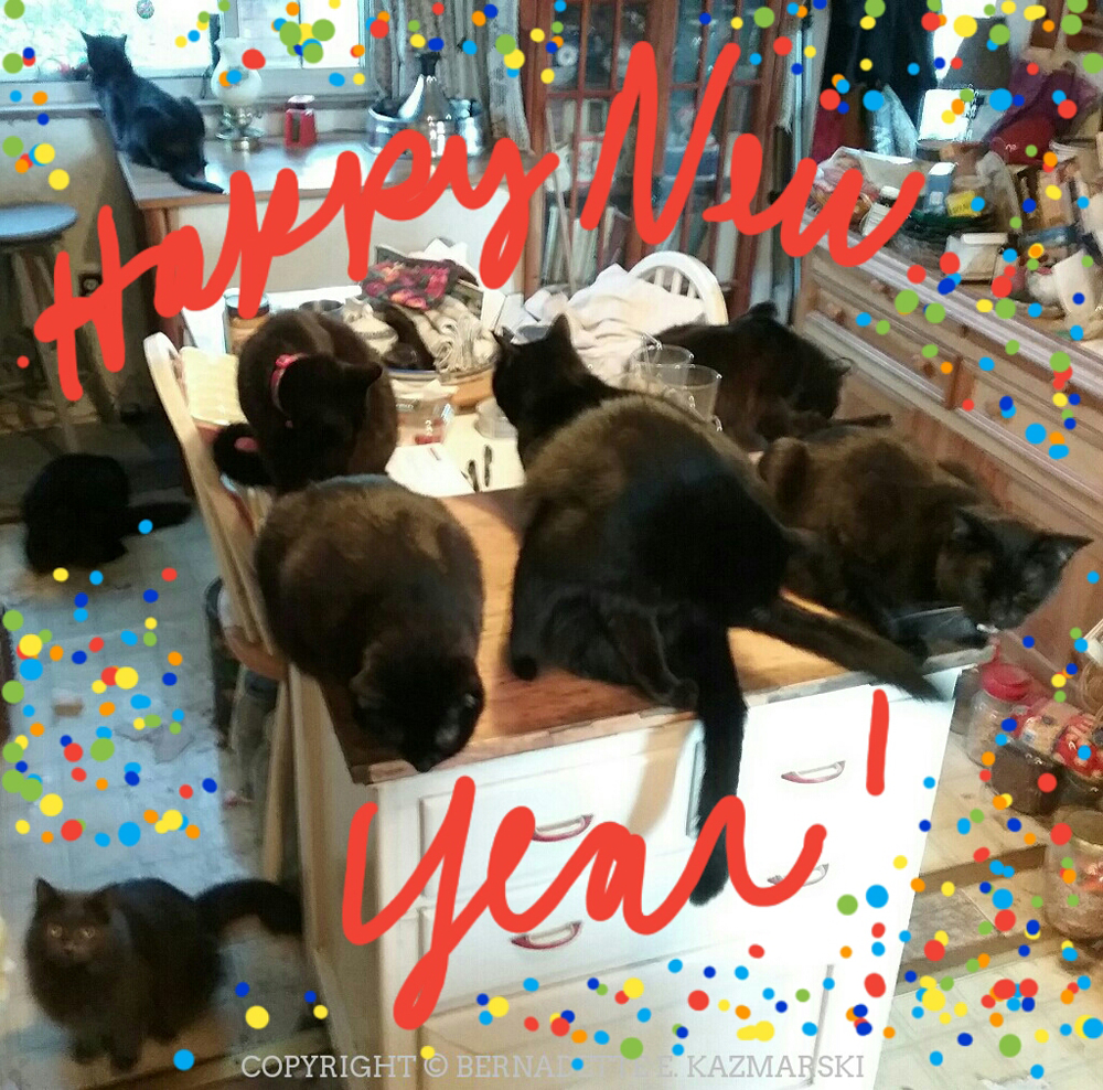 Happy Mew Year!