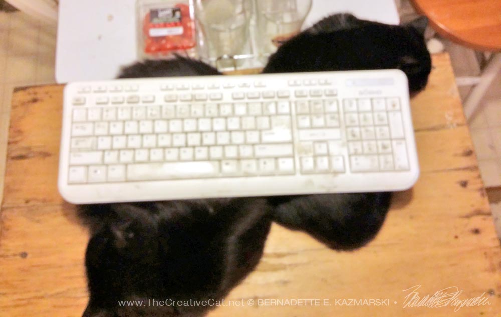 two black kittens with keyboard