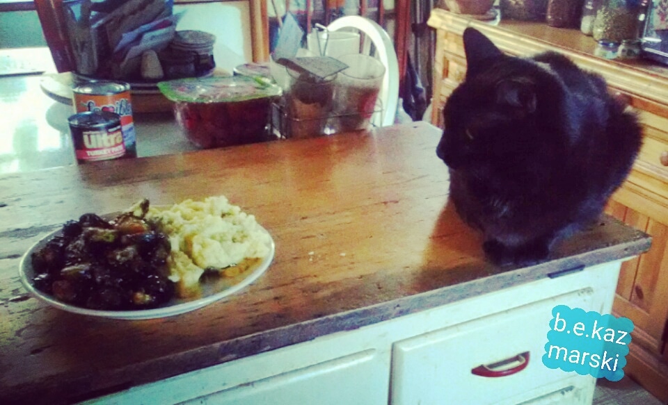 black cat and plate of food