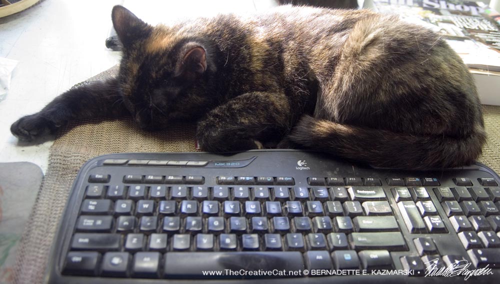 tortoiseshell cat at keyboard