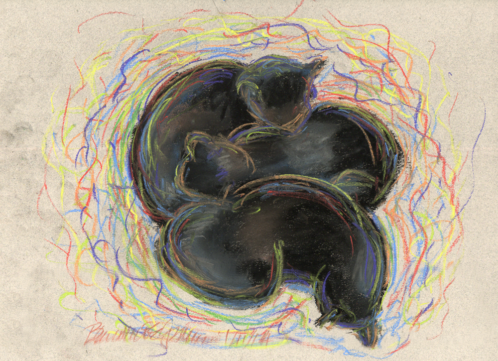 pastel sketch of three black cats in colors