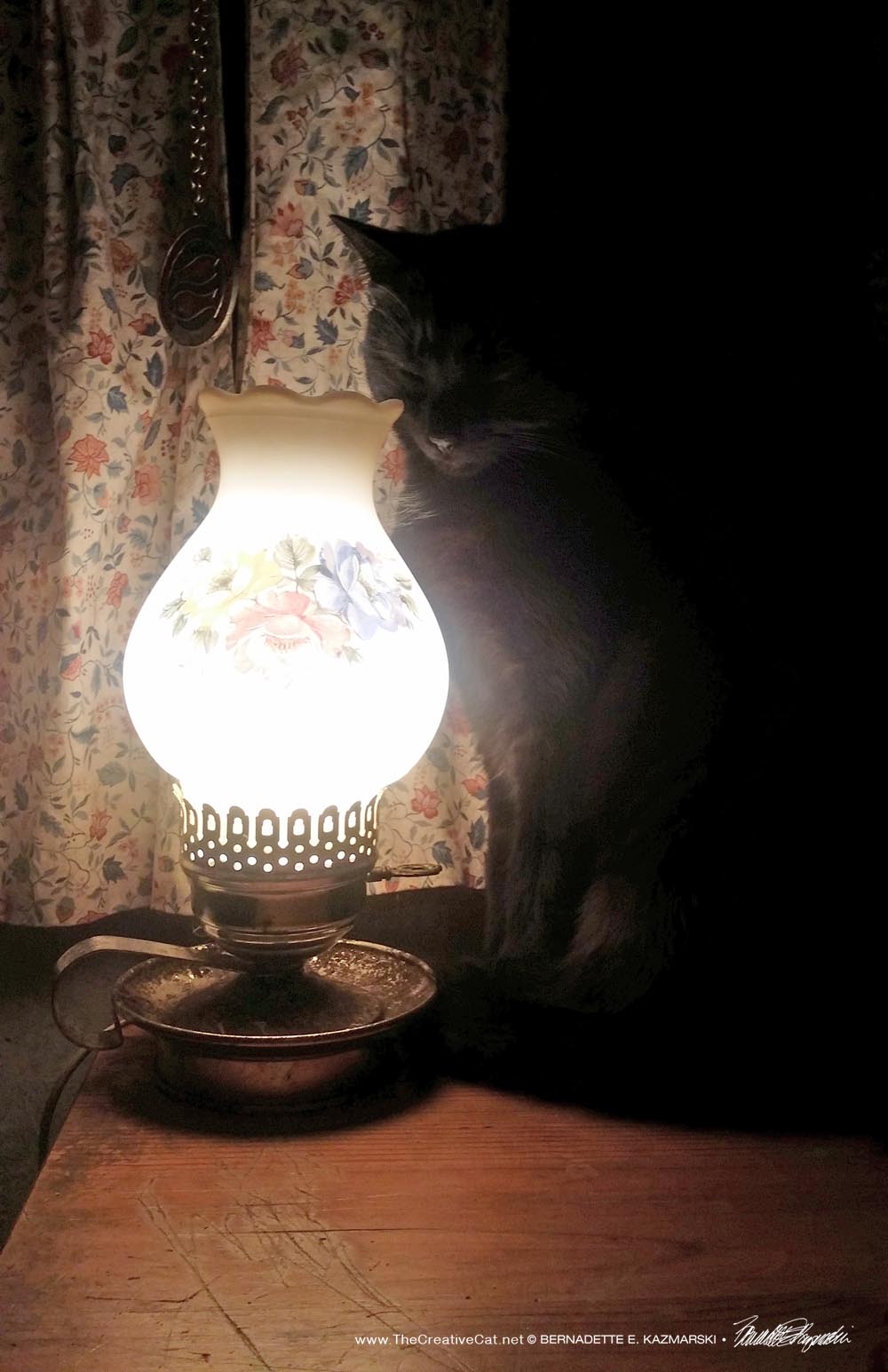 Bella by her keep-warm lamp.