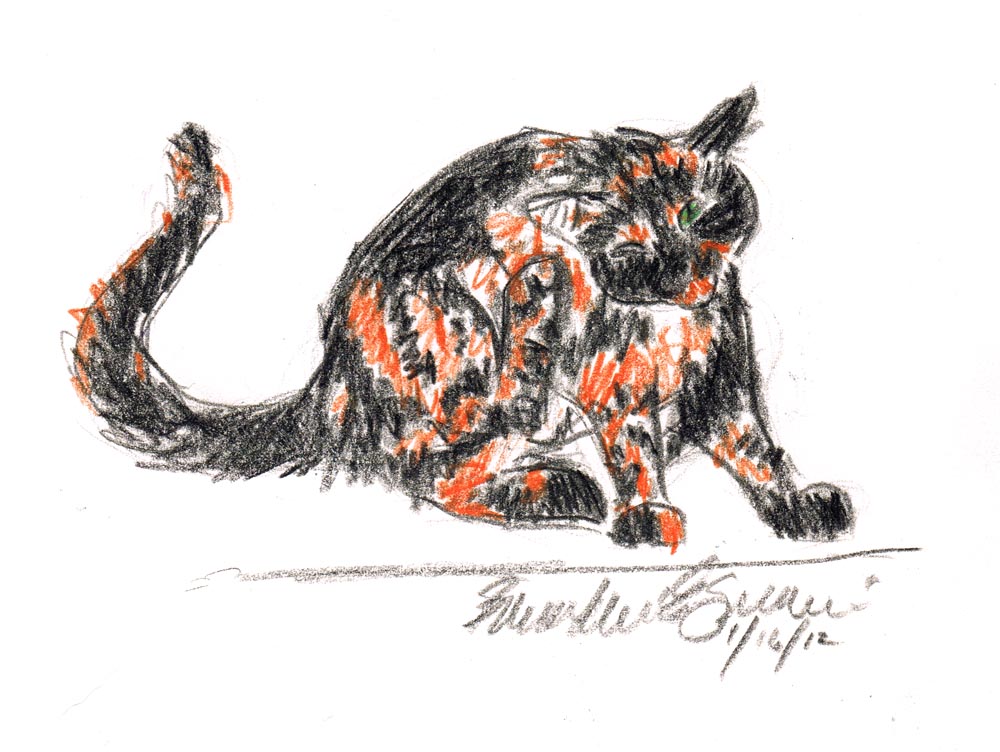 colored pencil sketch of cat scratching