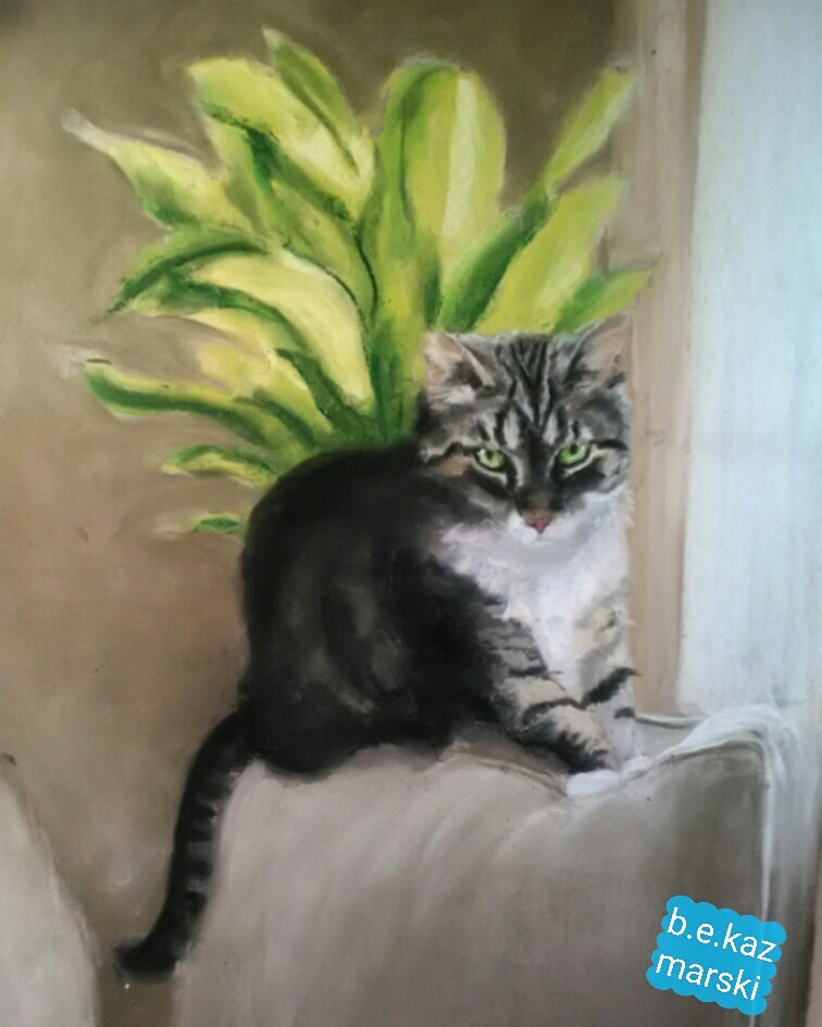 pastel portrait of cat