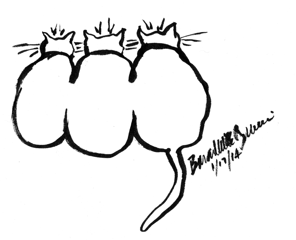 brush pen sketch of three cats from behind