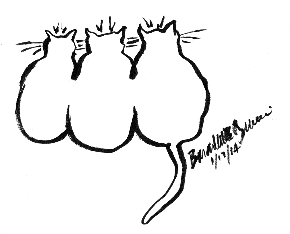 ink brush sketch of three cats outlined