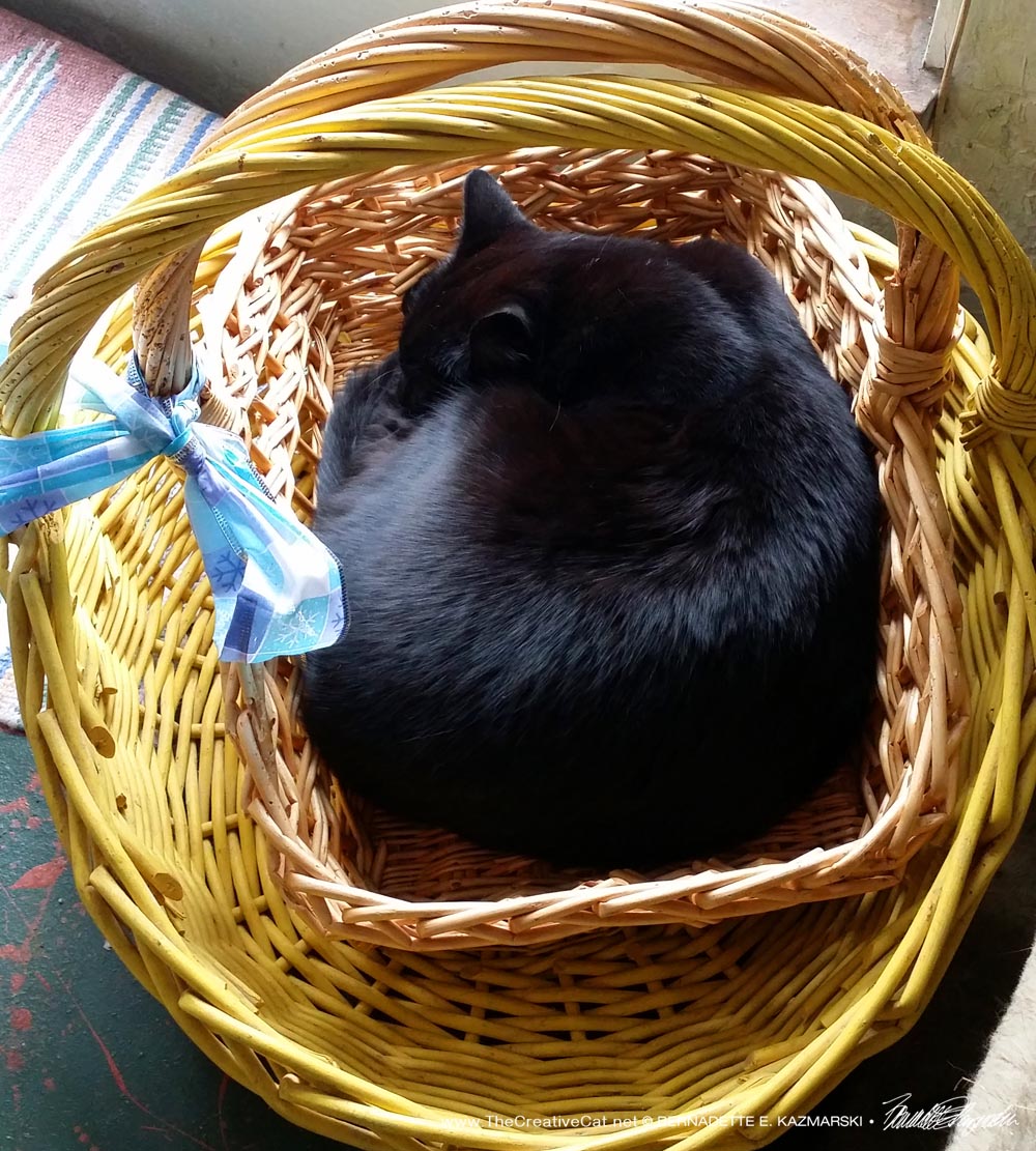 A basket in a basket!