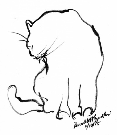 brush pen sketch of cat bathing
