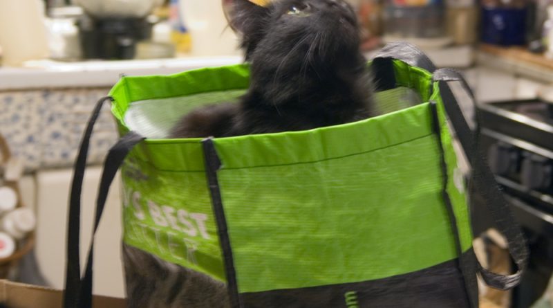 The magic shopping bag makes everything special.