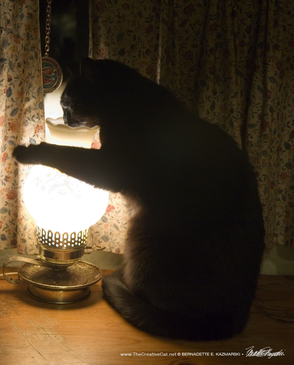 Bella getting in touch with the lamp.