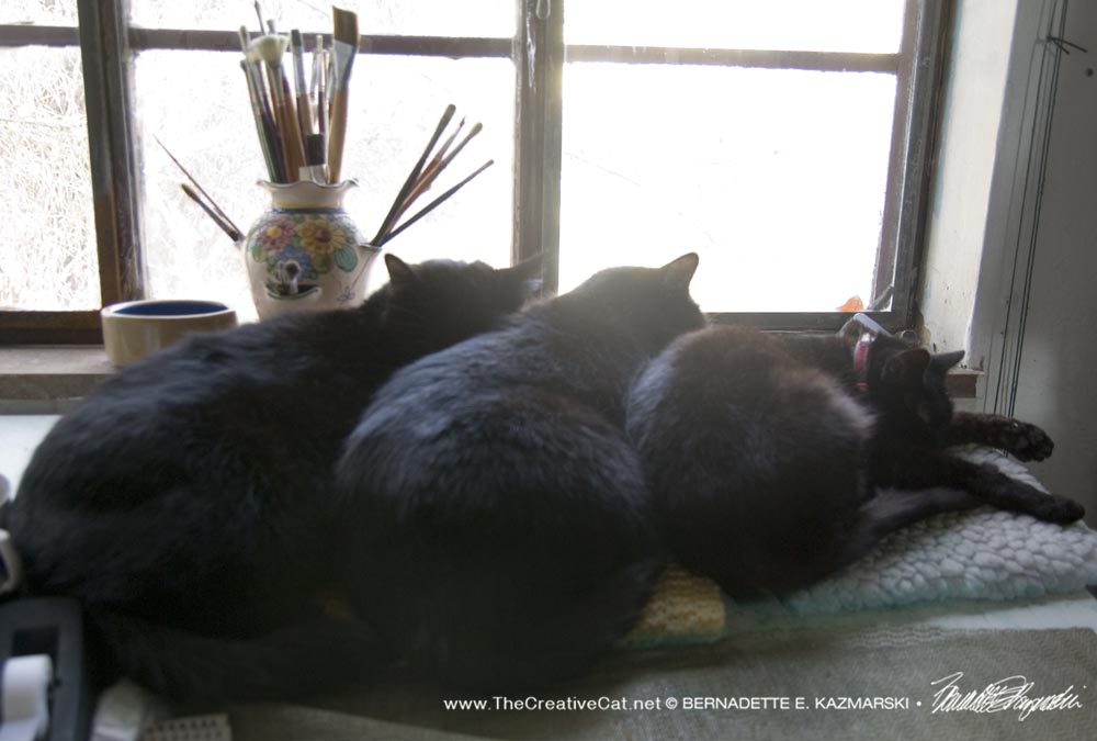 three black cats at window