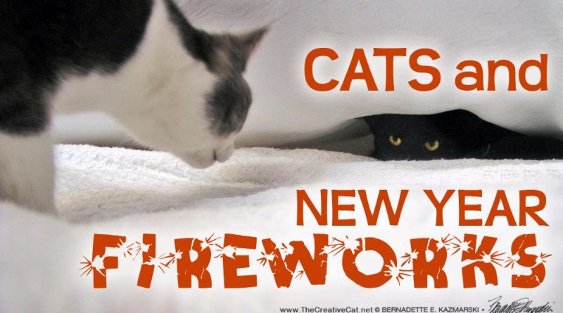 Cats and New Year Fireworks