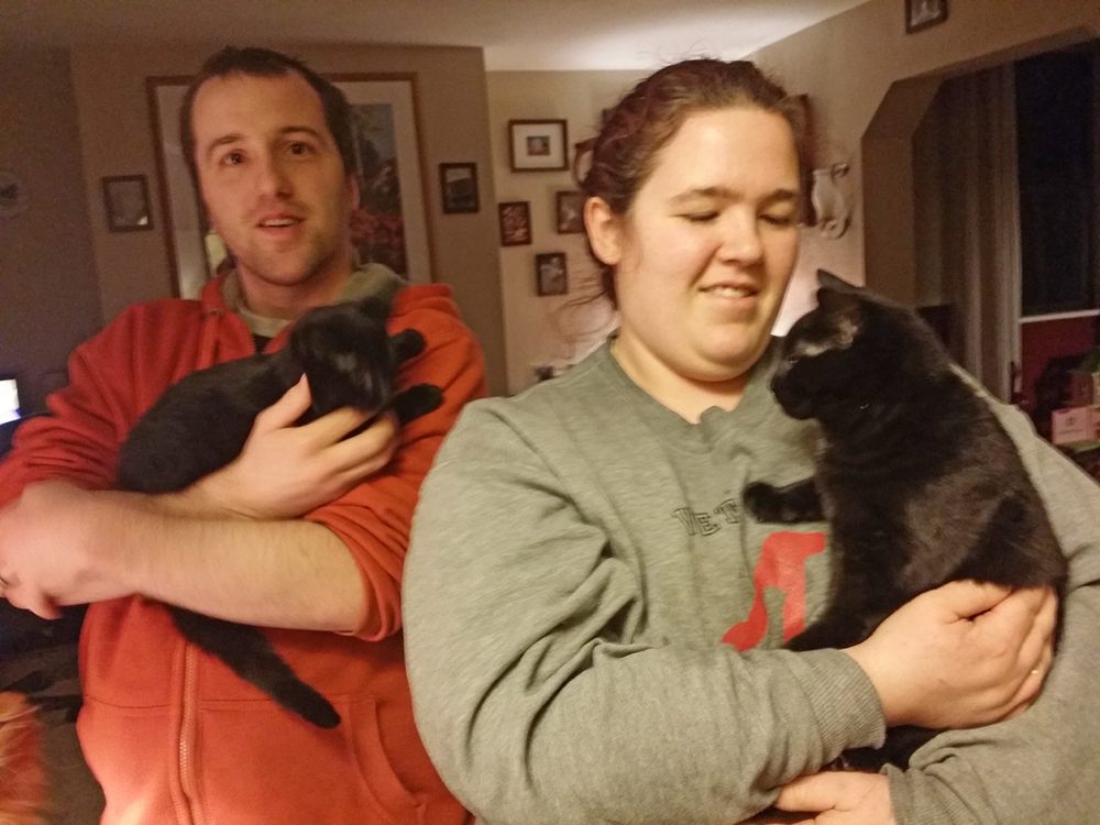 two black cats with people