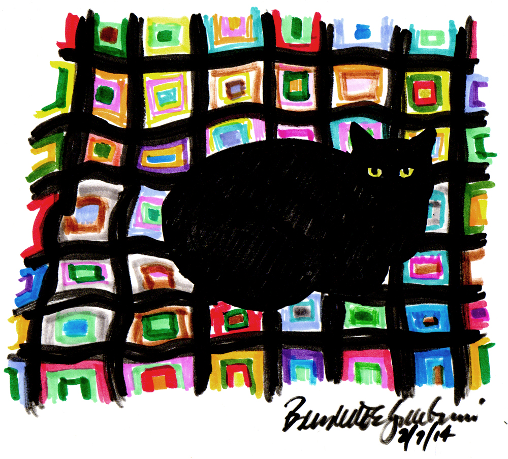 black cat on colorufl afghan