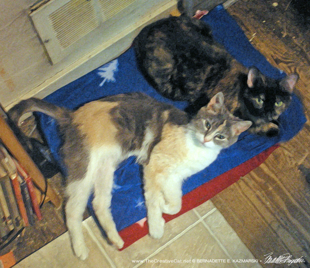 Peaches and Kelly cuddle in front of the furnace vent on a cold February night.