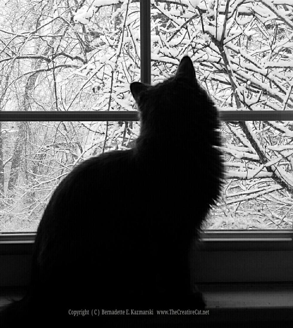 Ophelia watching snow.