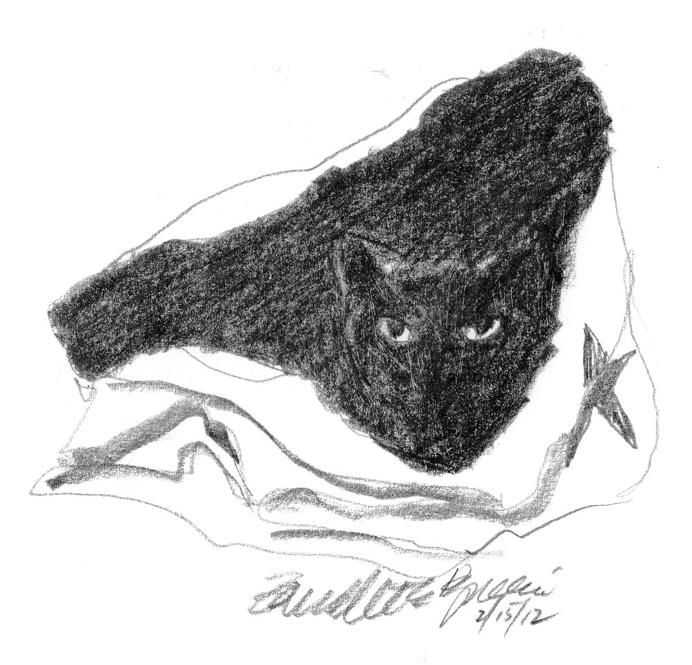 pencil sketch of cat in bag