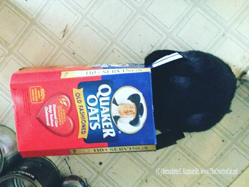 Giuseppe with his head in a box of oatmeal.