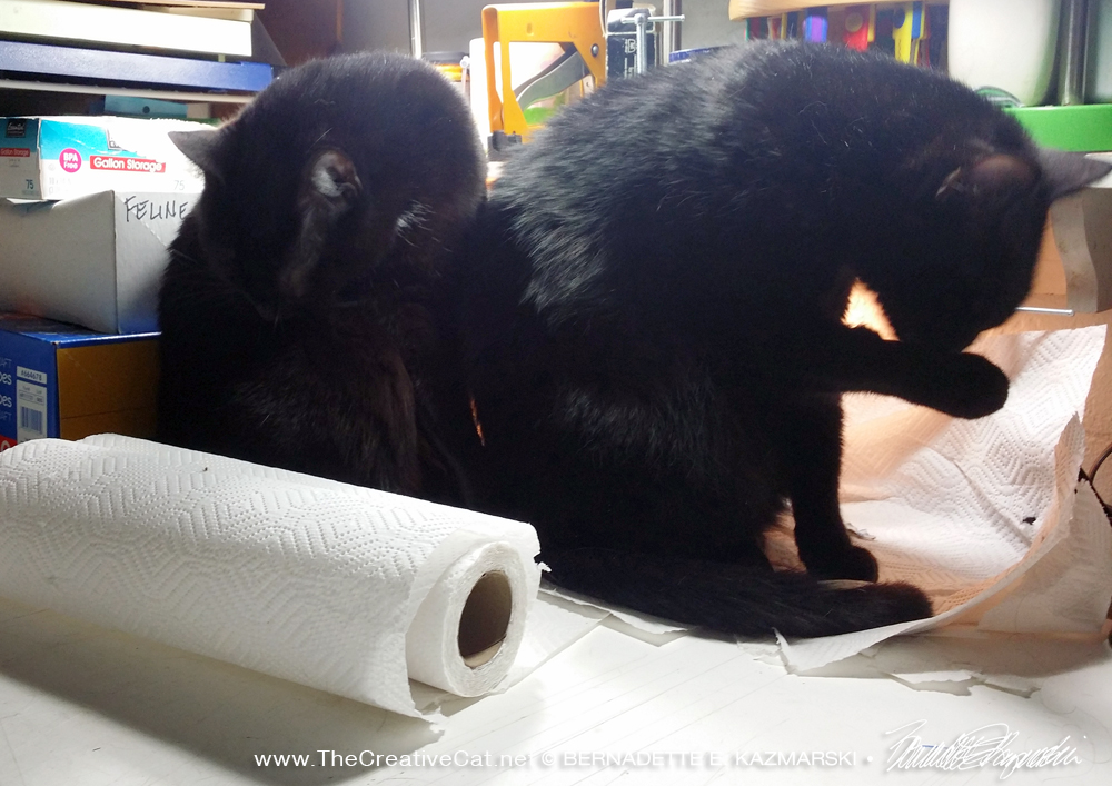 two black cats bathing