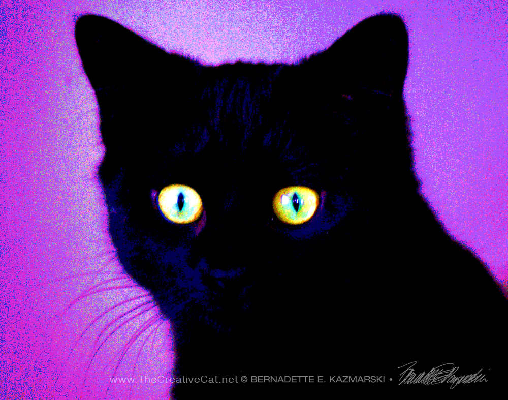 Bella in blues and purples black cat