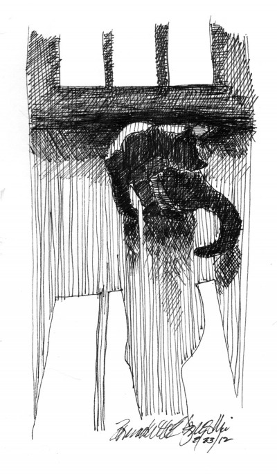 ink sketch of cat bathing