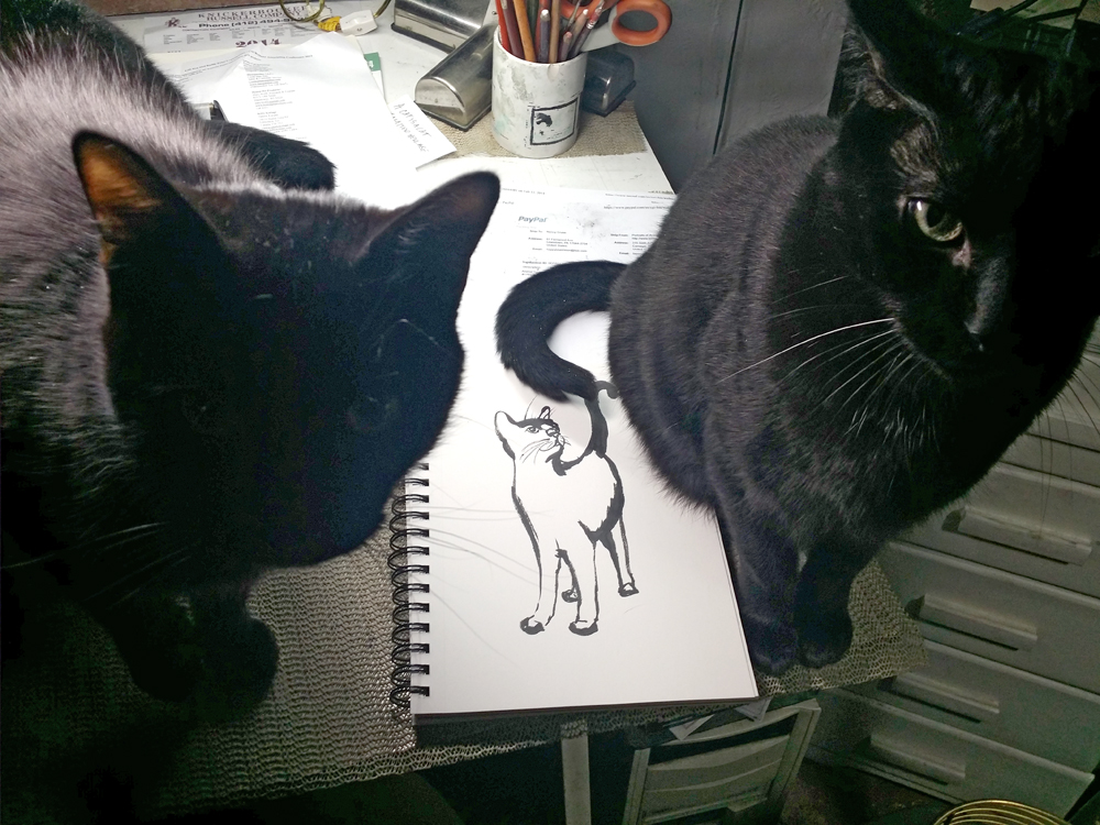 two black cats with sketch
