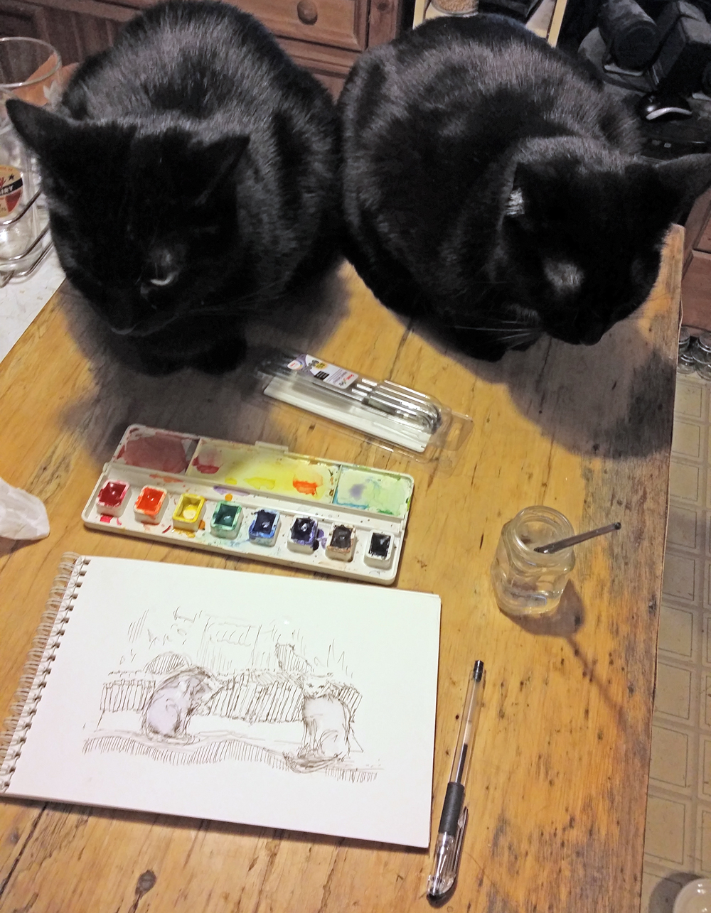 two black cats with painting