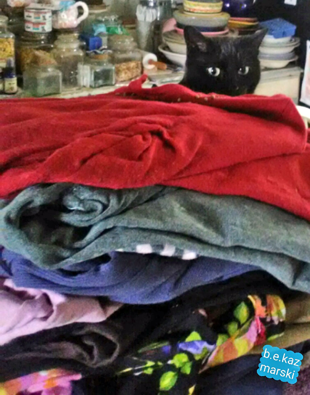 black cat with laundry