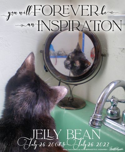 memorial graphic for a black cat looking in a mirror named Jelly Bean