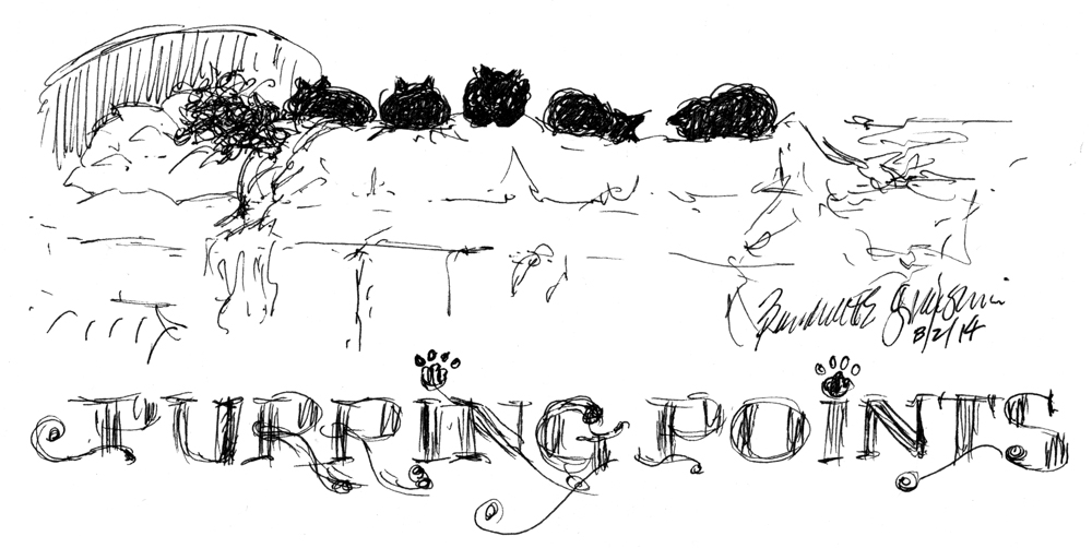 ink sketch cartoon of cats lined up on sleeping person