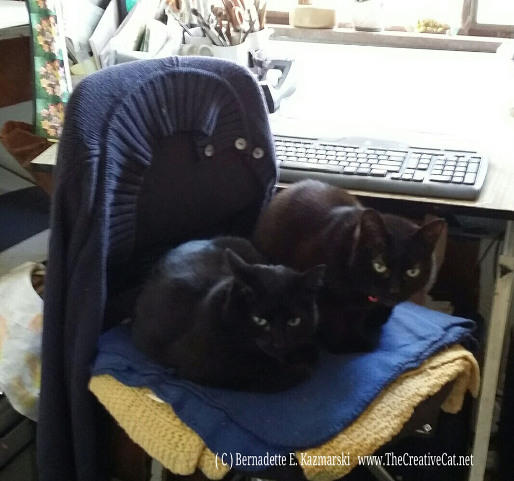Mimi and Bella stole my chair!