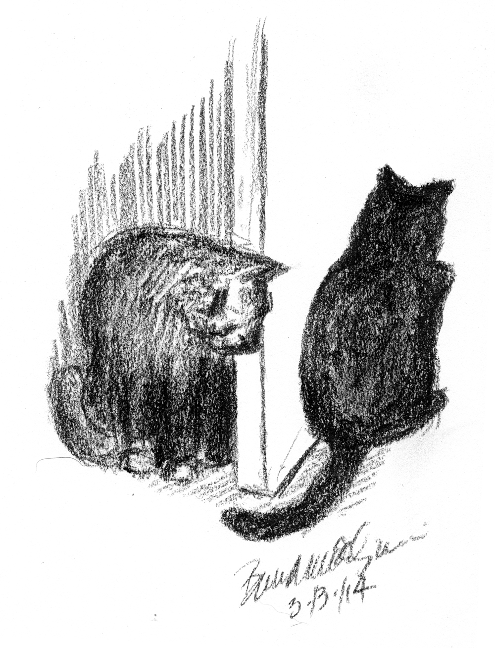 charcoal drawing of two cats 