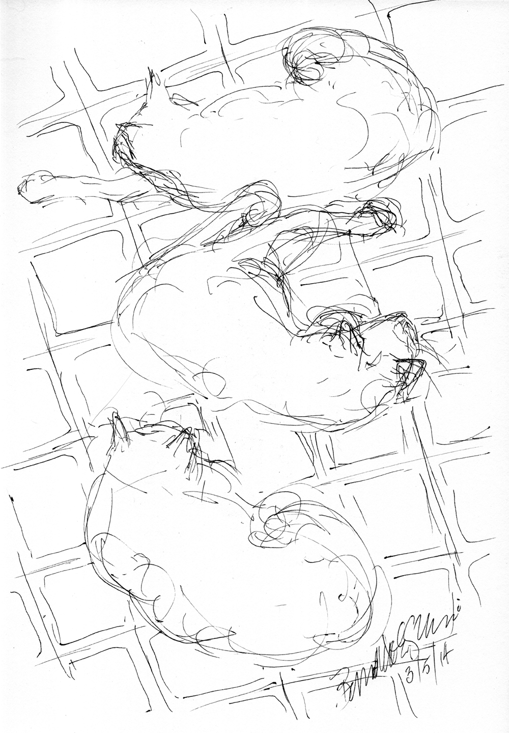 ink sketch of three cats on floor