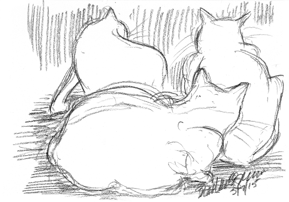 "Chillin", charcoal pencil, 10" x 7" © Bernadette E. Kazmarski charcoal pencil sketch of three cats