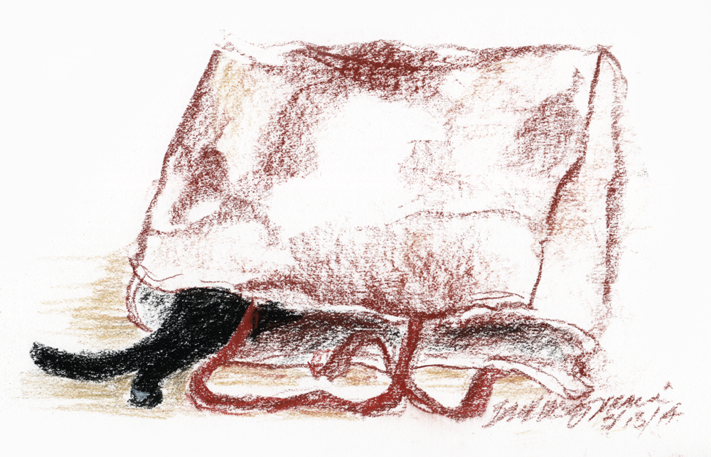 conte crayon sketch of cat in bag