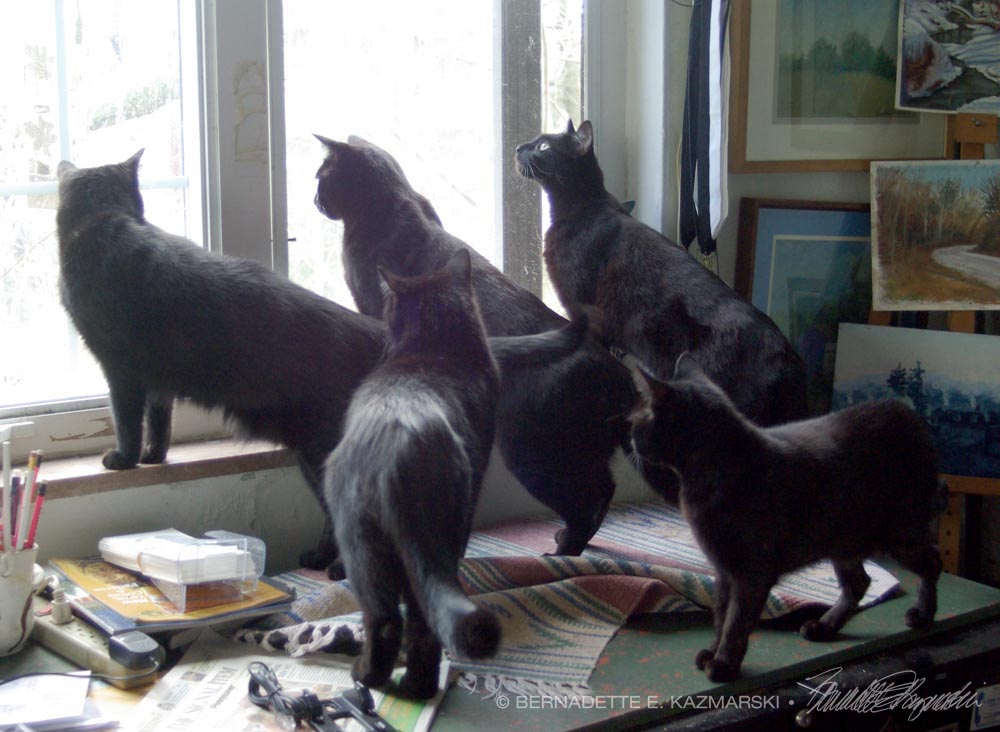 five black cats at window