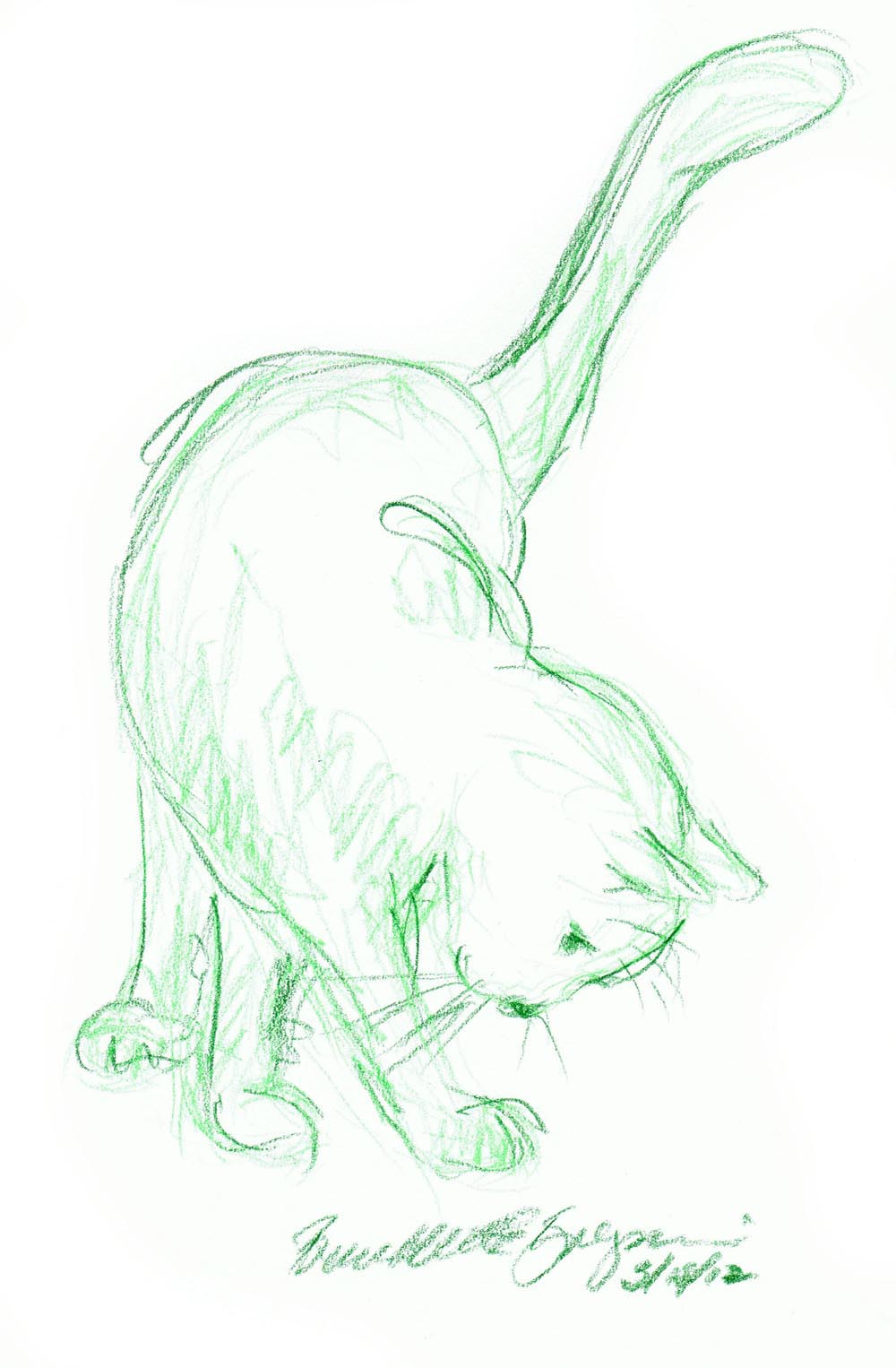 colored pencil sketch of cat