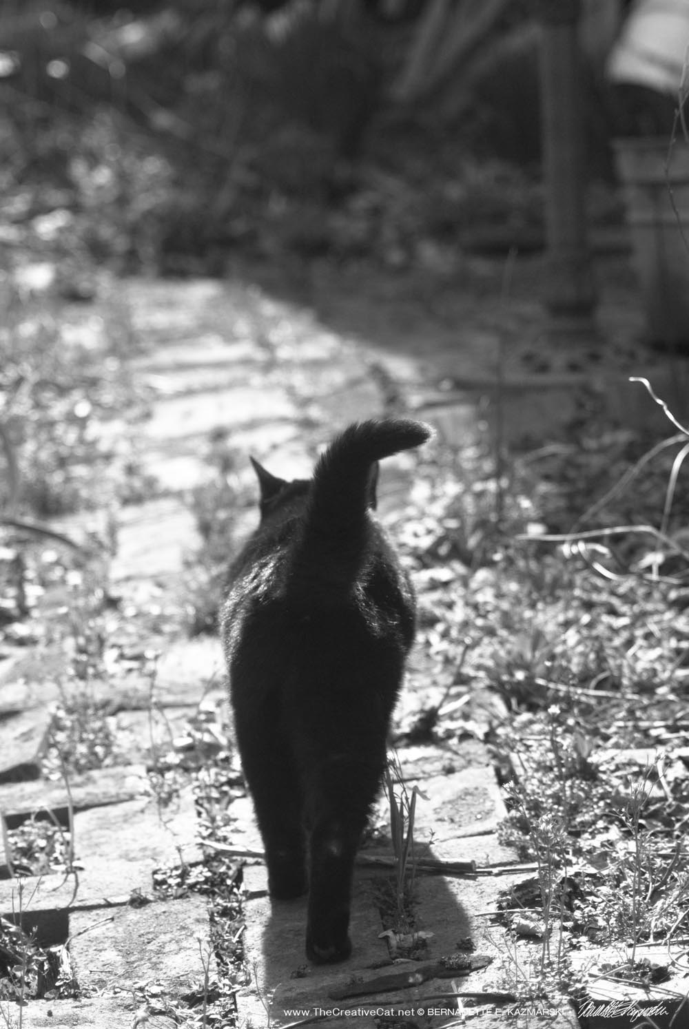 Mimi walks down the garden path.