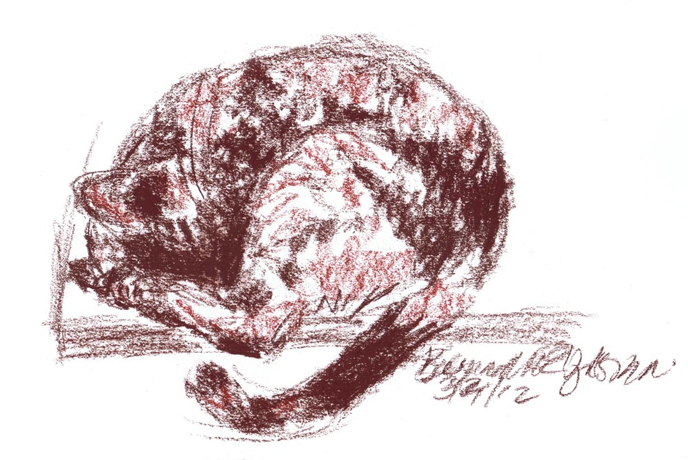 conte sketch of cat sleeping